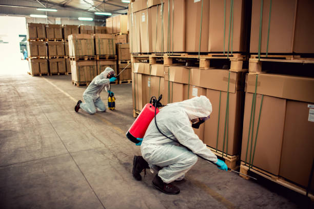 Best Pest Control Near Me in Dubach, LA