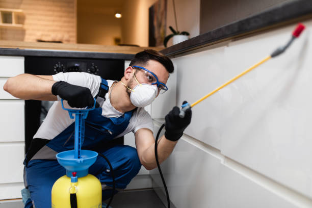 Best Residential Pest Control  in Dubach, LA