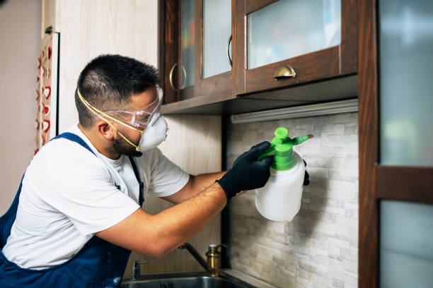 Best Pest Prevention Services  in Dubach, LA