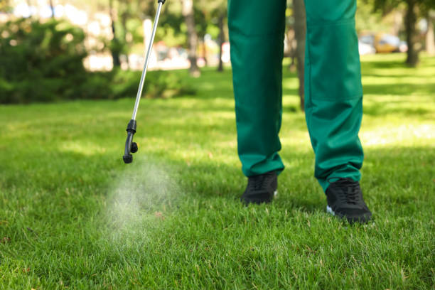 Professional Pest Control in Dubach, LA