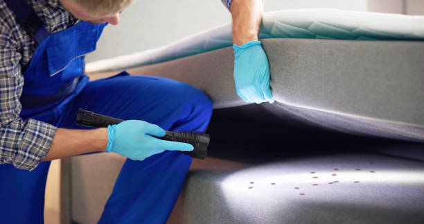 Best Pest Control Near Me  in Dubach, LA