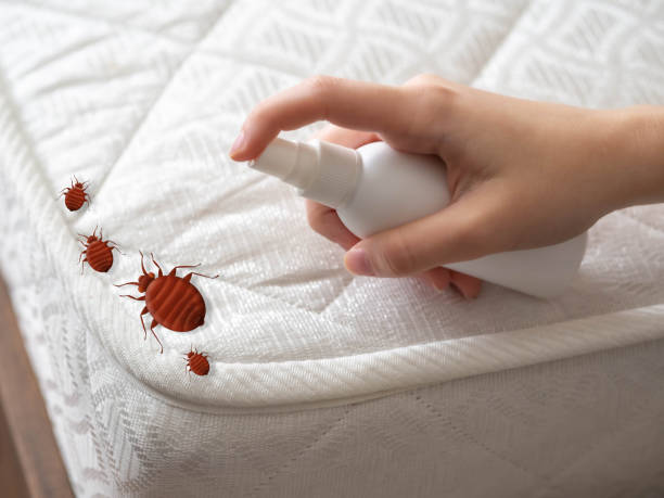 Pest Control for Restaurants in Dubach, LA