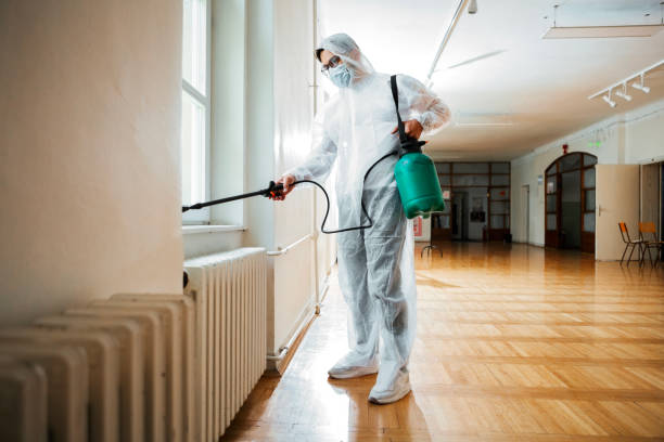 Best Rat Extermination Near Me  in Dubach, LA